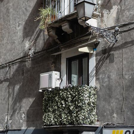 Terra Dell'Etna Apartman Catania-Fontanarossai nemzetközi repülőtér Kültér fotó
